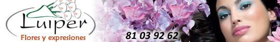 Salones eventos, Eventos Monterrey, boda monterrey, musica bodas, banquetes bodas, novias, tips boda, organizar boda