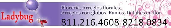 Salones eventos, Eventos Monterrey, boda monterrey, musica bodas, banquetes bodas, novias, tips boda, organizar boda